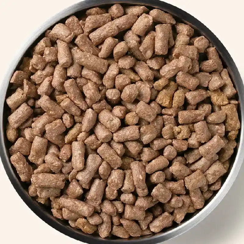 Freeze-dried Raw Chicken Entree Dog Food Mini Nibs - 14oz