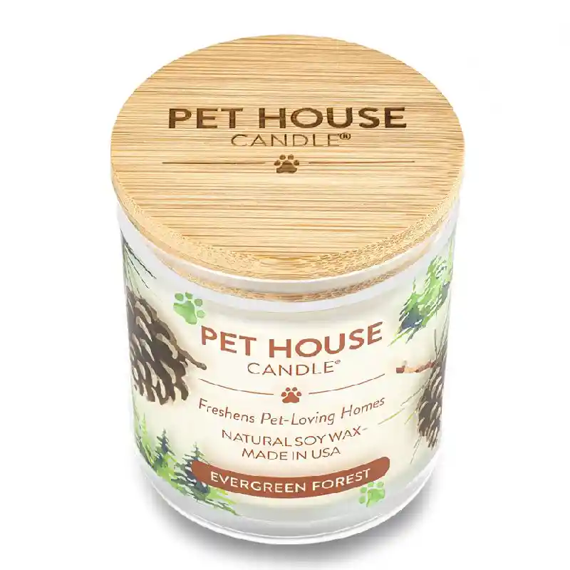 Evergreen Forest Scented Candle