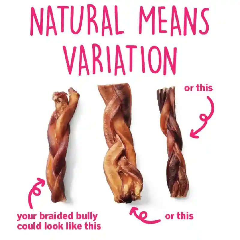 Thick Braided Bully Stick (Odor-Free) 6”