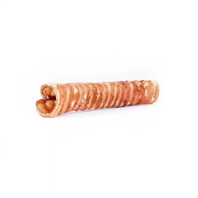 Raw Dog 12in Beef Trachea Tube