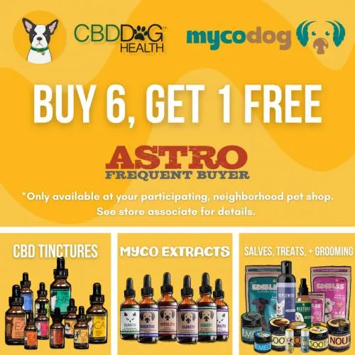 Promotion Image