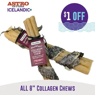 Icelandic+ | $1.00 …