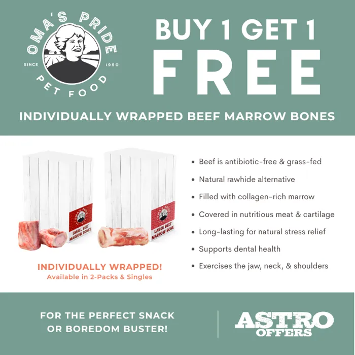 Promotion Image