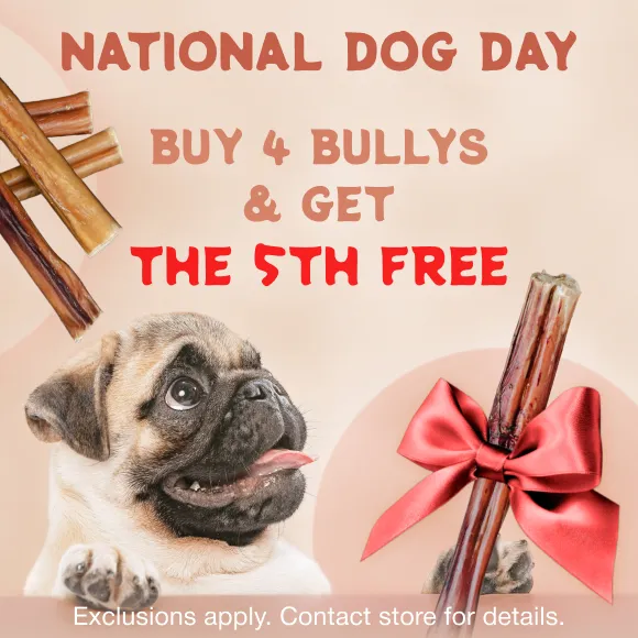 Promotion Image