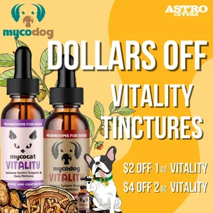 CBD Dog Health | Do…