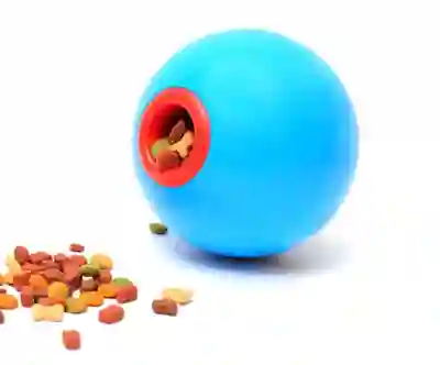 Image Alternative Text