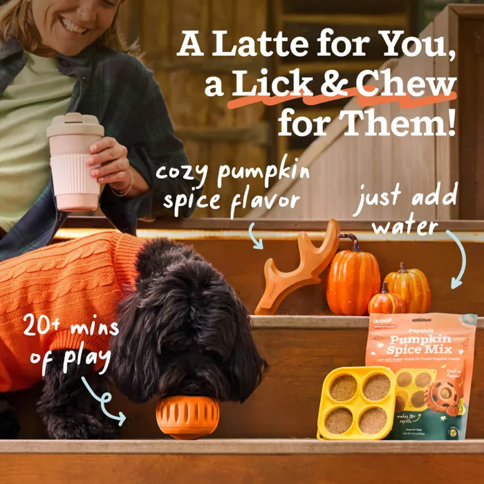 Woof Pumpkin Pupsicle Large dog lifestyle view