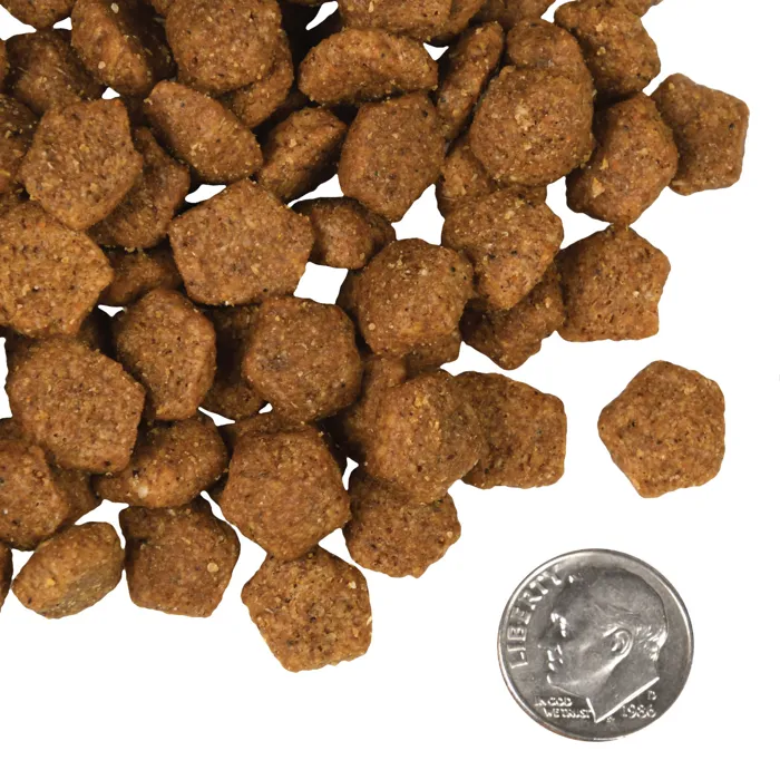 Fromm Four-Star Duck À La Veg kibble close-up