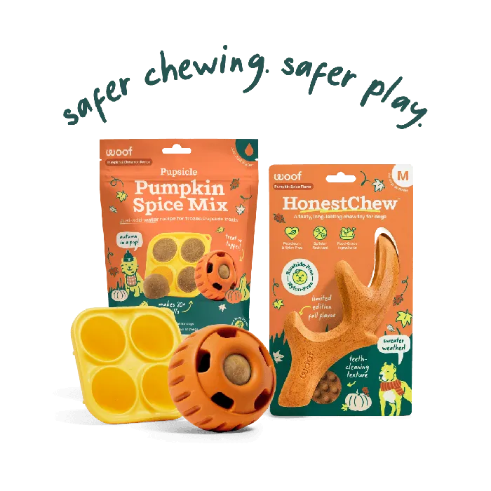 Woof Pumpkin Pupsicle Large in Pumpkin Spice play pack