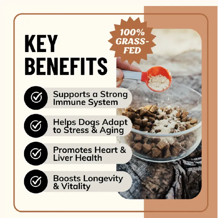 Fido’s Dehydrated Longevity Bf Bone Broth (60 scoo