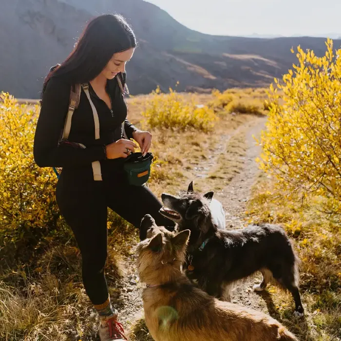 Wilderdog Treat Pouch  -Black