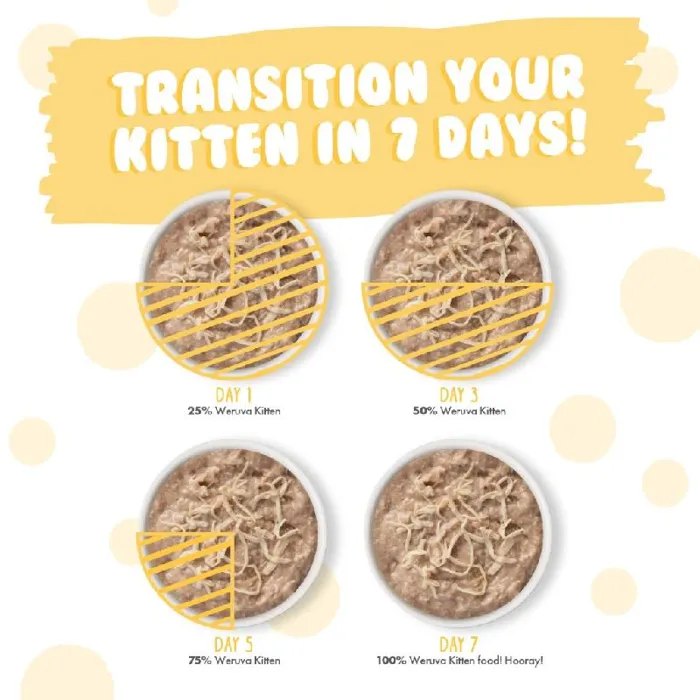 Weruva Kitten Can Chicken Au Jus Gravy 3-oz