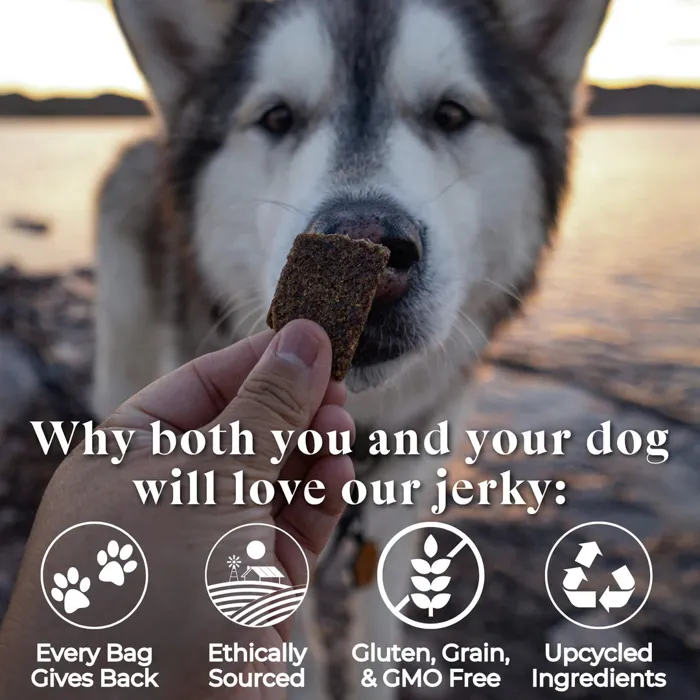 Otis Dog Wild Things Bison Jerky 4-oz
