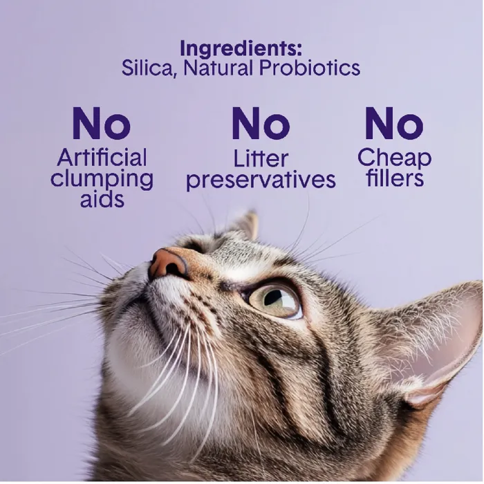 Boxie Cat Pro Deep Clean Litter 40#