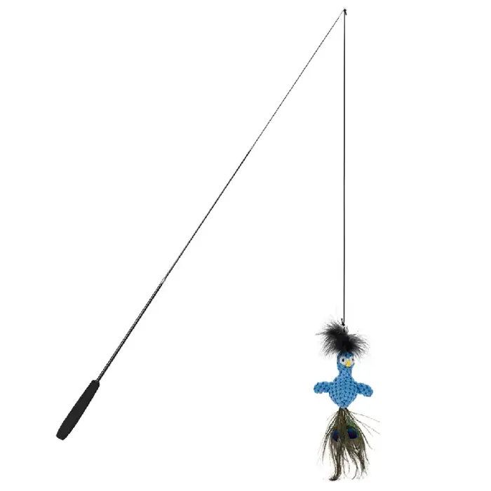 Fab C Floppy Teasr Peacock
