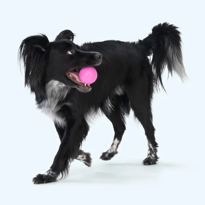 West Paw Boundr Ball Small Pink & Yellow 2-pk