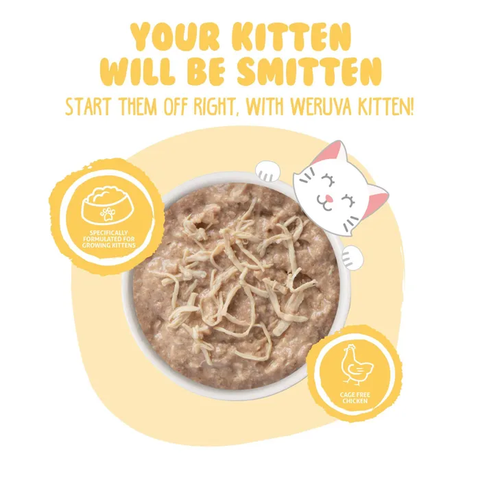 Weruva Kitten Shredded Chicken Au Jus Gravy 3-oz