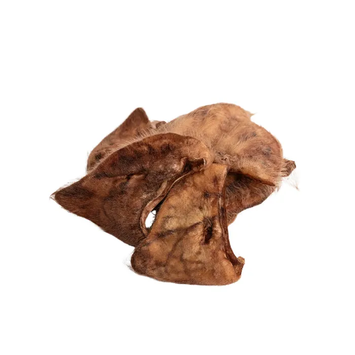 Momentum Hairy Pig Ear