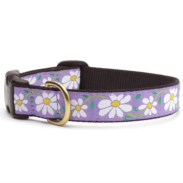 Uc Daisy Collar S W