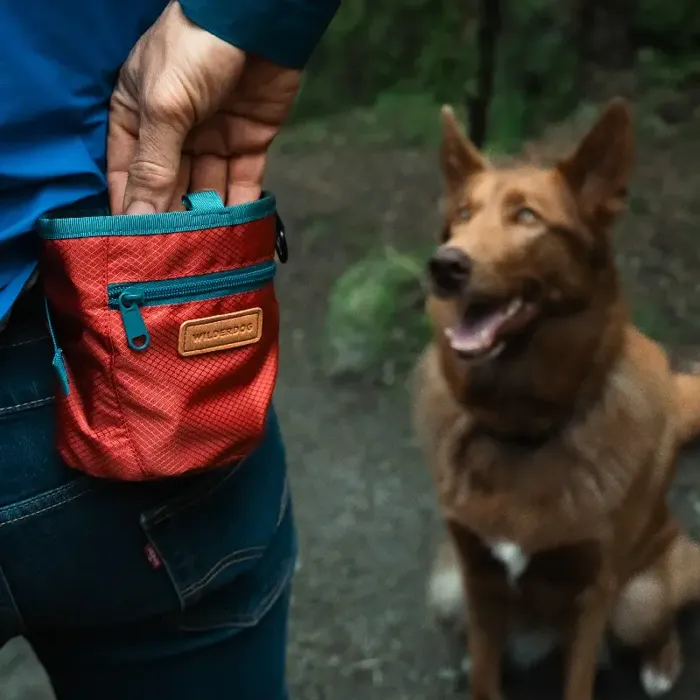 Wilderdog Training Pouch- Cinnabar