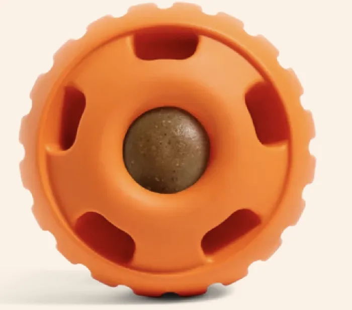 Woof Organge Pumpkin Pupsicle Small
