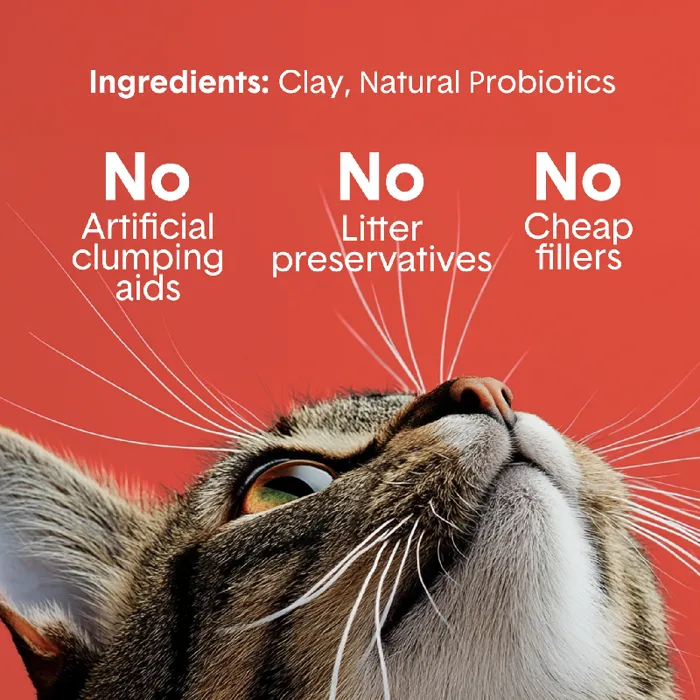 Boxie Cat Extra Strength Premium Clumping Clay Lit
