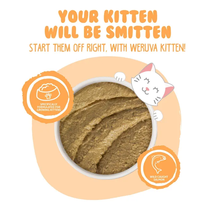 Weruva Kitten Tuna & Slmn In a Hydrating Puree Wet Cat Food Can, 3-oz