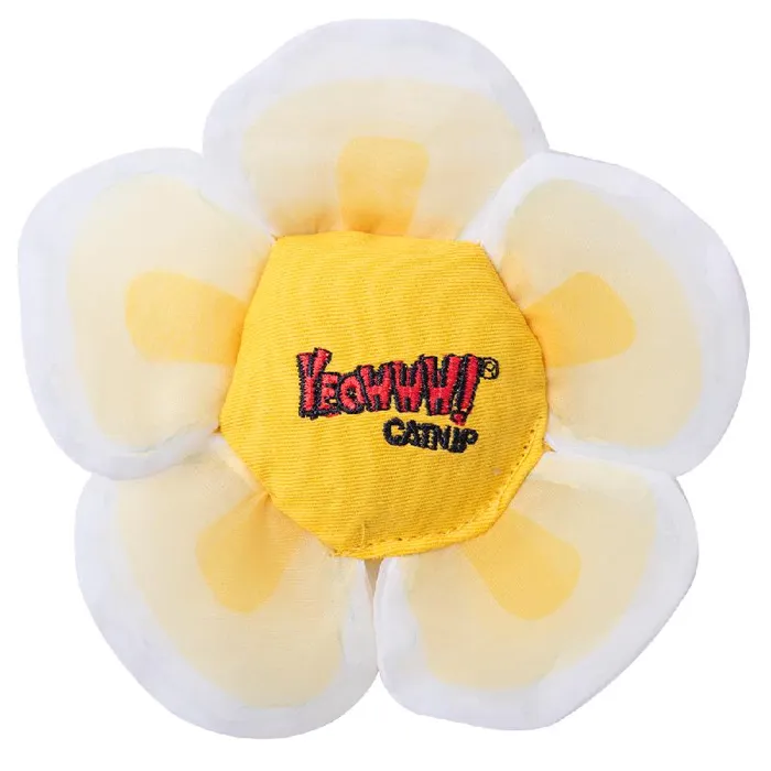 Daisy’s Flower Tops White