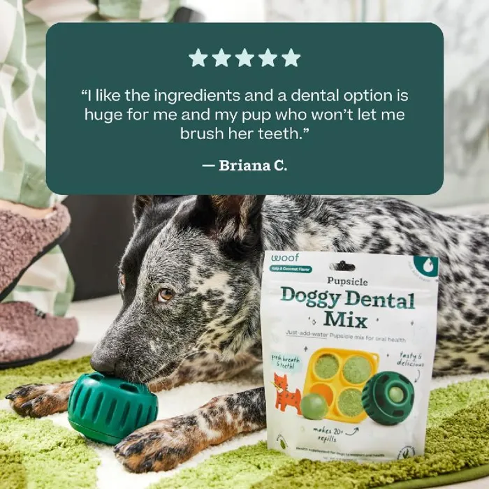 Woof Pupscicle Treat Mix Doggy Dental 5.5-oz