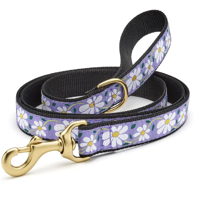 Up Country Daisy Lead 5' Wide