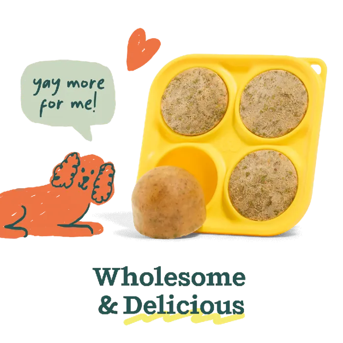 Woof Dog Pupscicle Treat Mix Variety Pack 5.5-oz