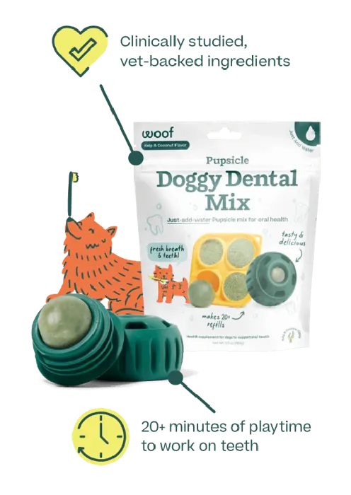 Woof Pupscicle Treat Mix Doggy Dental 5.5-oz