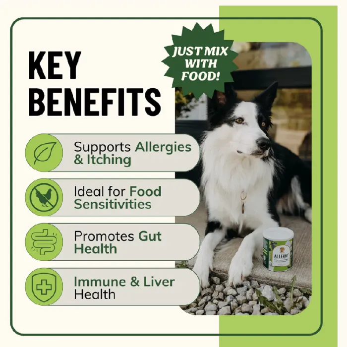 Fido's Allergy Herbal/mushroom Powder 3.61oz