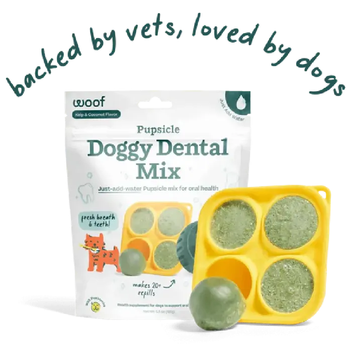 Woof Pupscicle Treat Mix Doggy Dental 5.5-oz