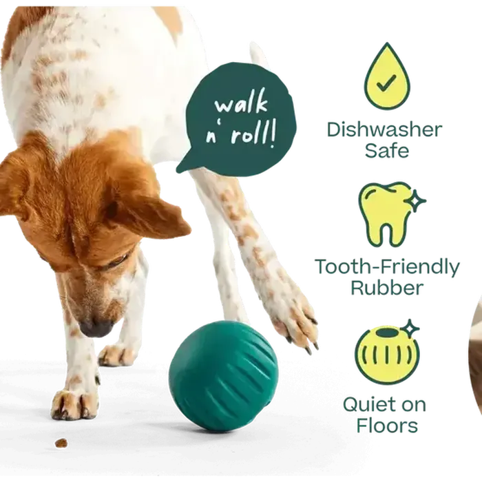 Woof Forager Walkabout Small