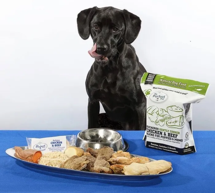 My Perfect Pet Dog Frzn Cook Ckn Bf Puppy 4-lb