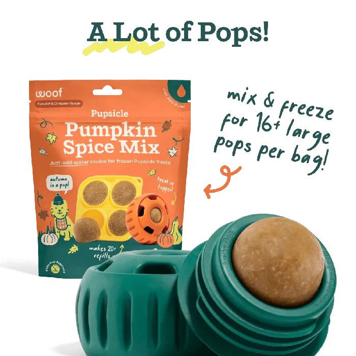 Woof Pumpkin Pupsicle Large with treat mix