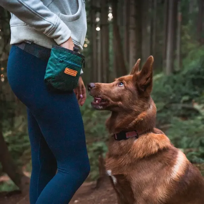 Wilderdog Training Pouch - Evergreen