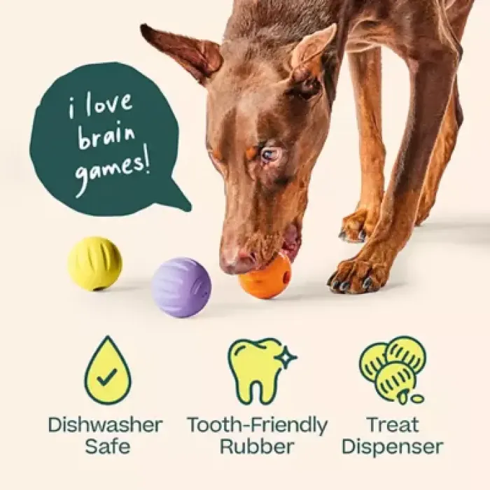 Woof Dog Toy Forager Flyball Single Orange