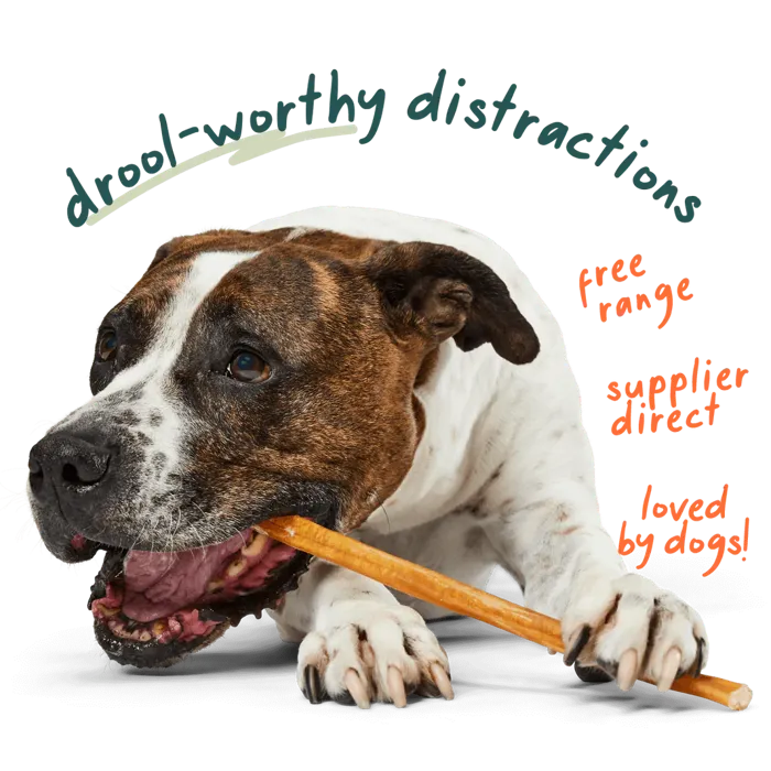 Woof BullySafe collagen chew dog chewing