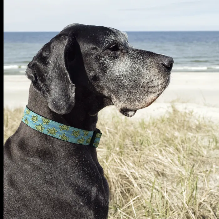 Uc Sea Turtle Collar M W