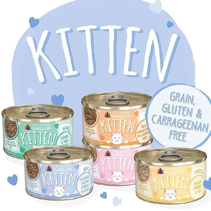 Weruva Kitten Can Chicken & Pumpkin In Gravy 3-oz