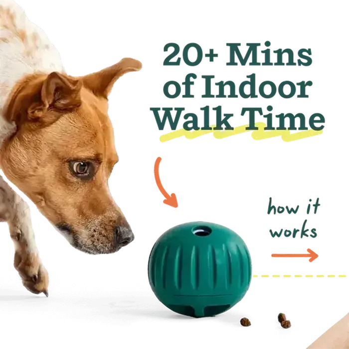 Woof Forager Walkabout Small