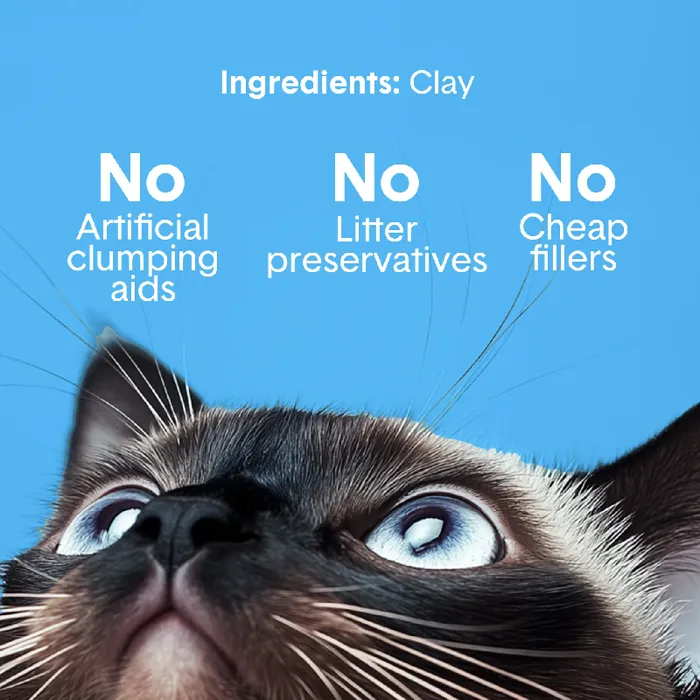 Boxiecat Litter Scent Free 16-lb