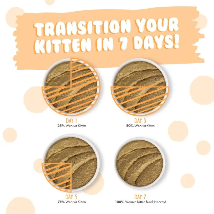 Weruva Kitten Can 3 Oz Tuna Salmon Puree 12/tr