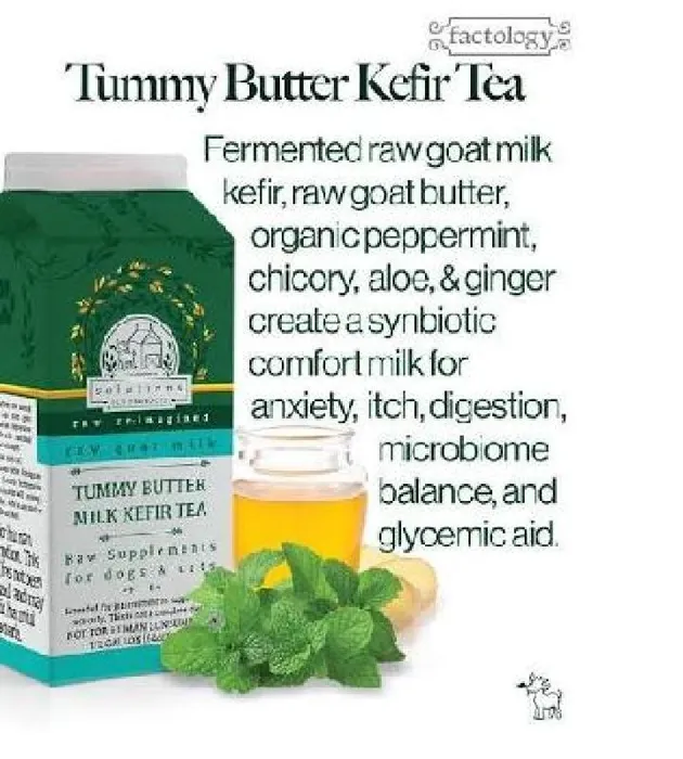Solutions Pet Products Tummy Butter Tea 64-oz