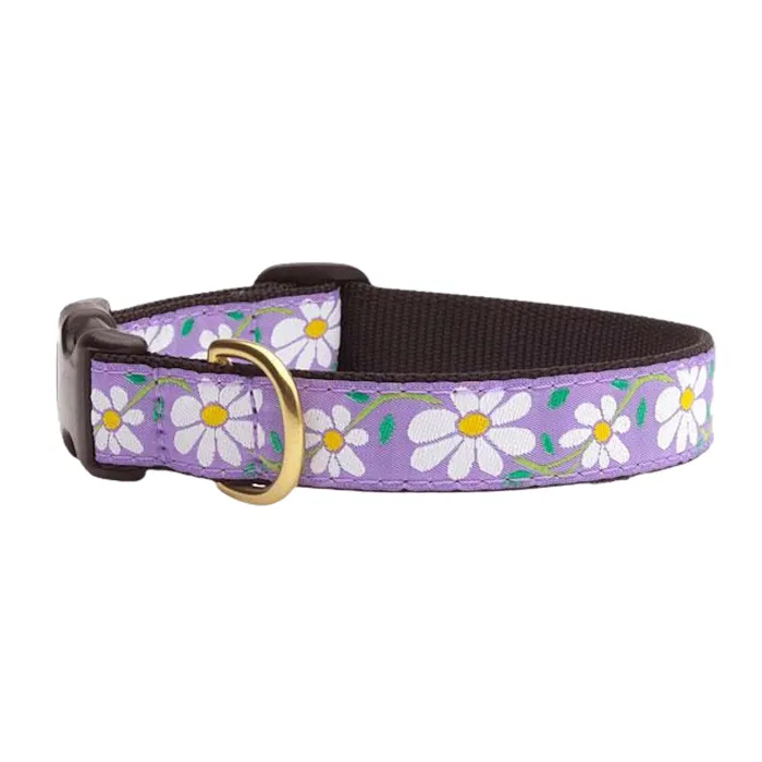 Up Country Daisy Collar Small (Narrow)