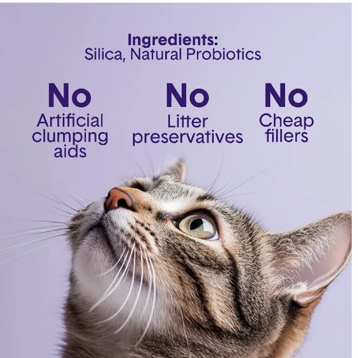 BoxiePro® Deep Clean Crystal Probiotic Cat Litter