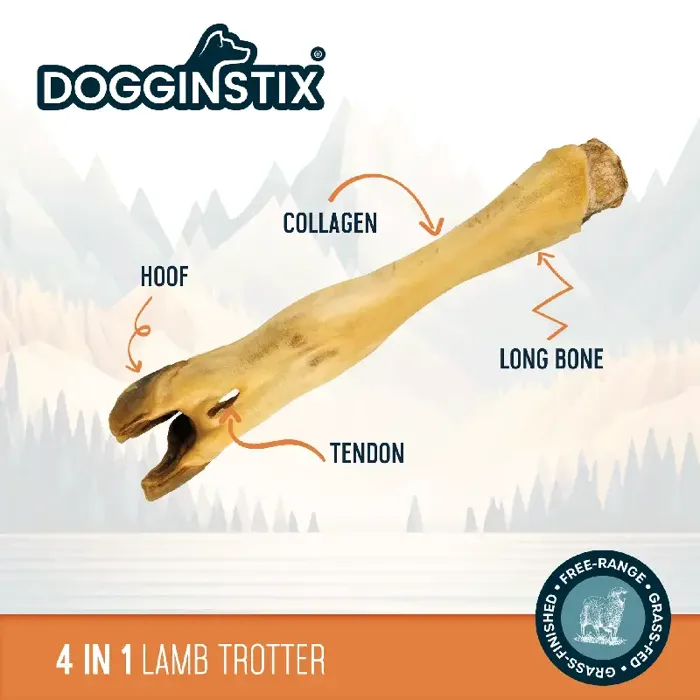 Dns Lamb Feet 40ct