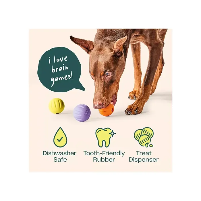 Woof Dog Toy Forager Flyball Single Lavender